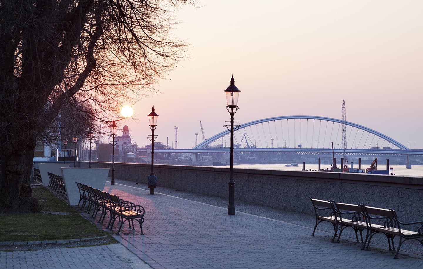 futuredoctor - Medizinstudium in Bratislava