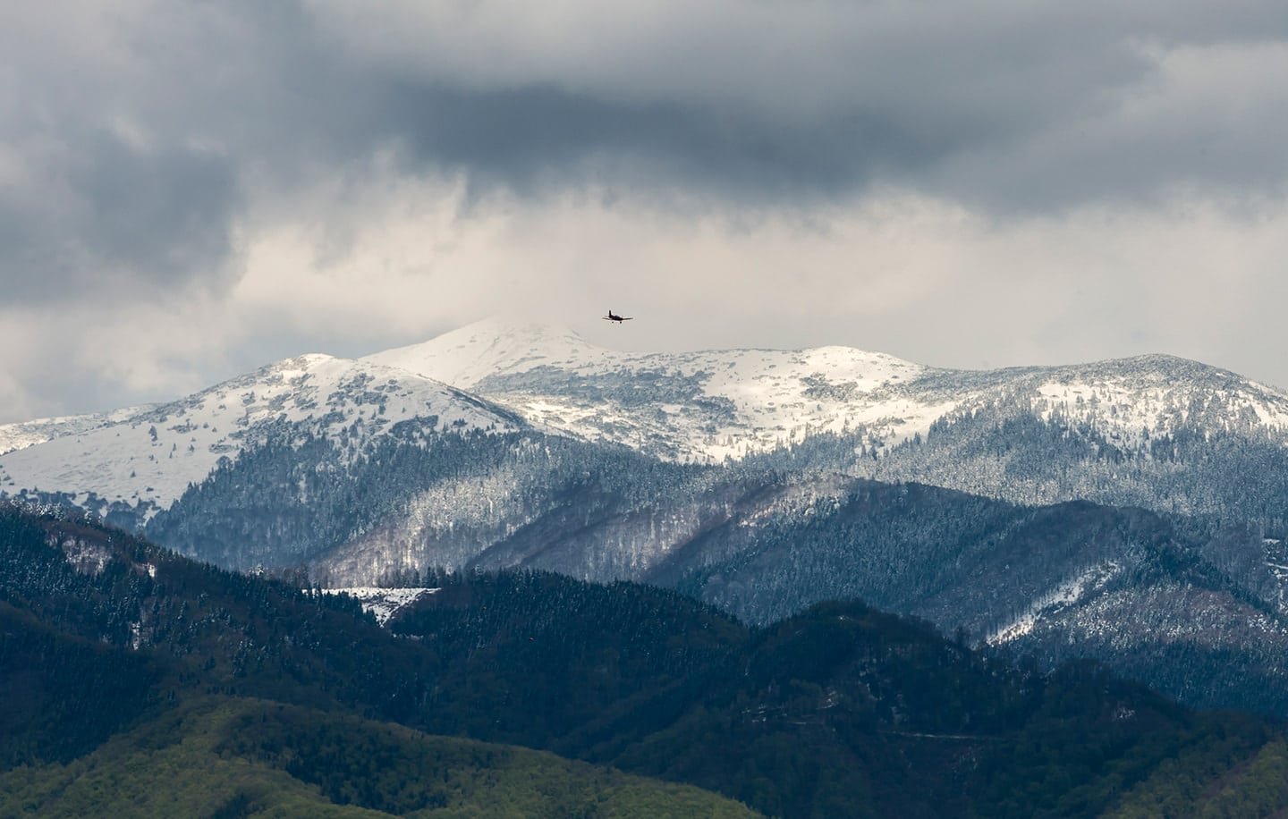 Medizinstudium in der Slowakei. Medizin studieren an der Jessenius Universität in Martin.
