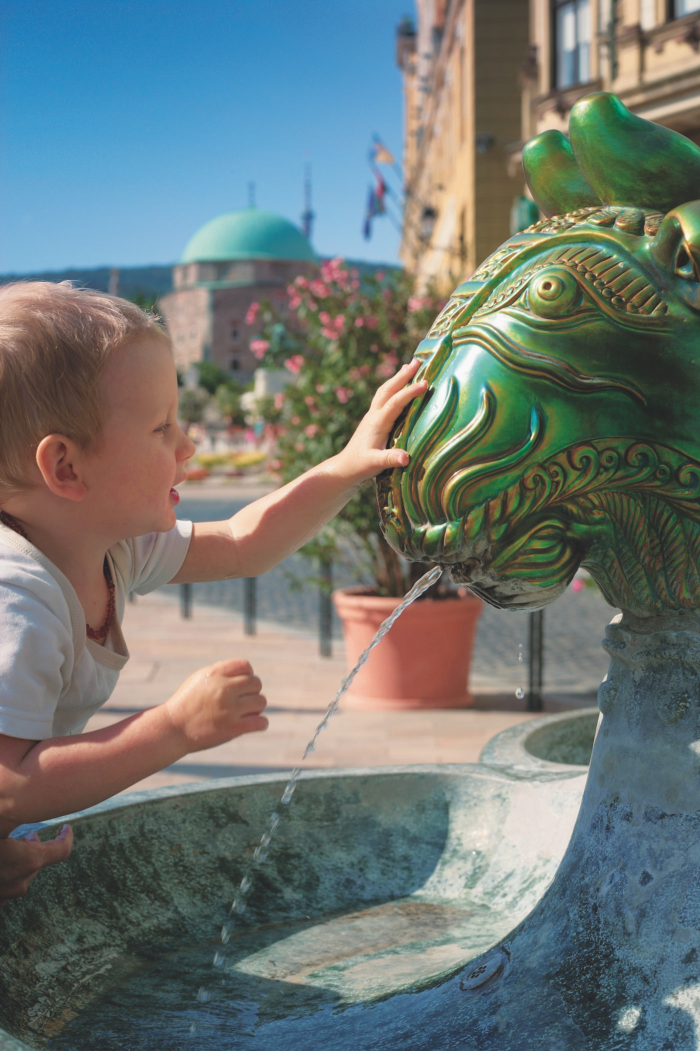 Medizin studieren in Pecs