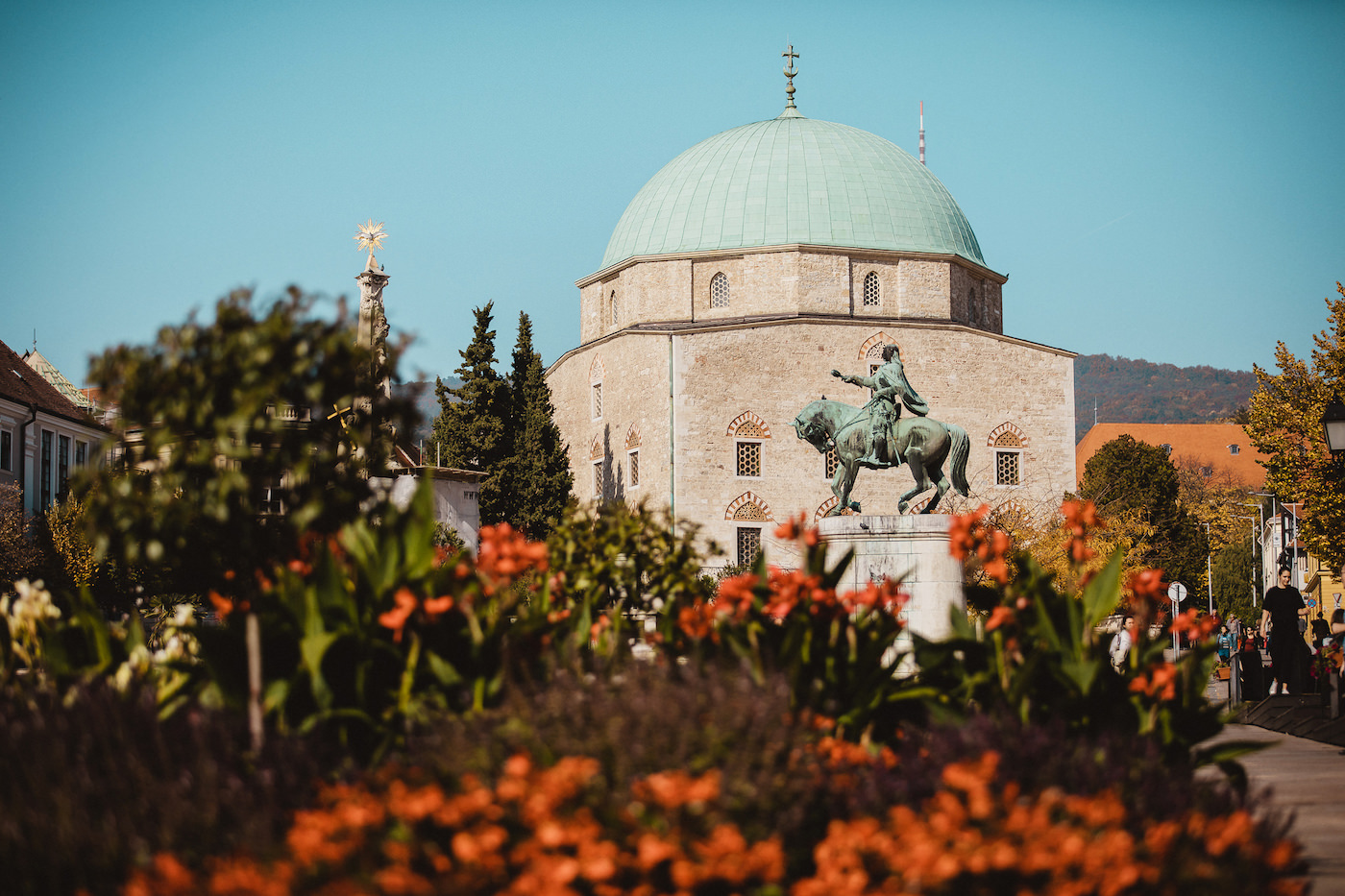 Medizin studieren in Pecs