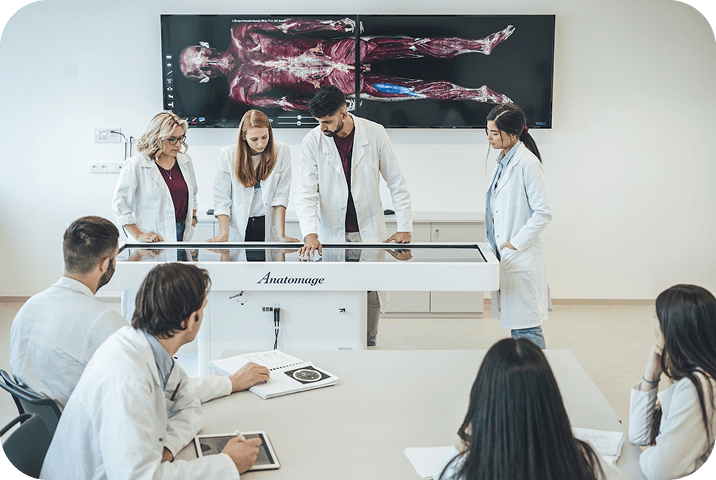 So sieht dein Medizinstudium aus