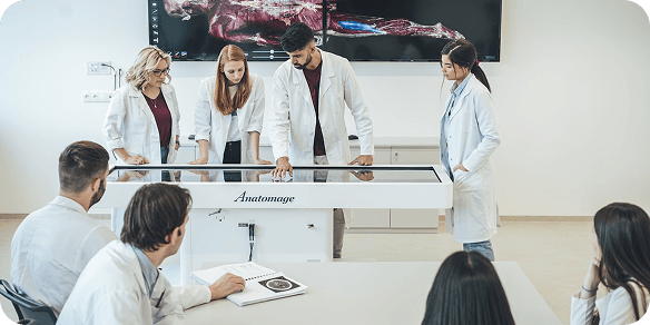 So sieht dein Medizinstudium au